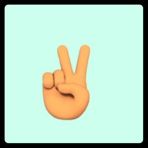 Meet your Posher, Joyce